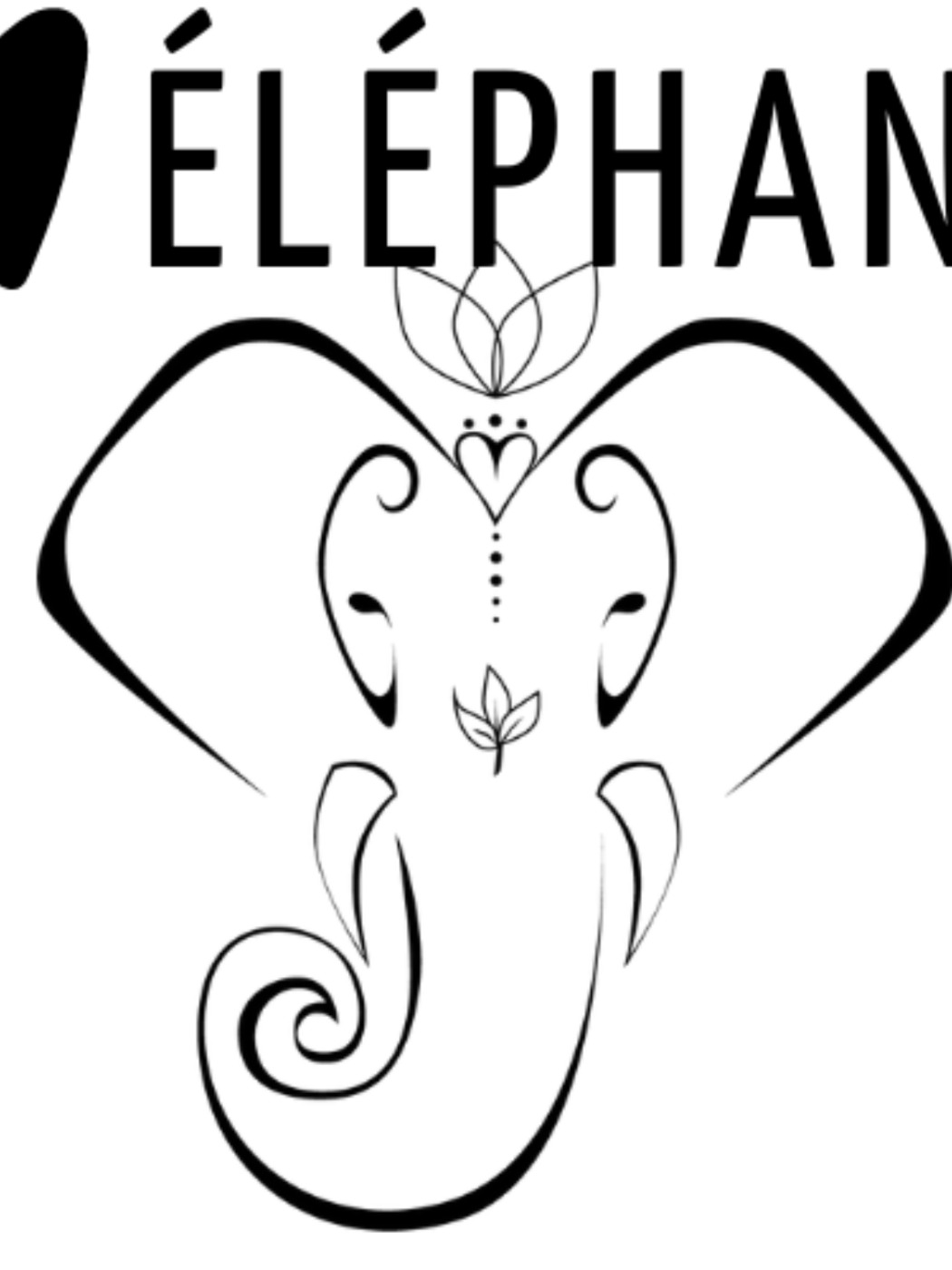 COEUR D'ÉLÉPHANT COEUR D'ÉLÉPHANT